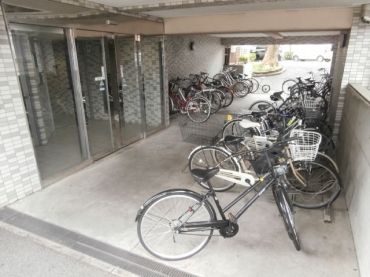 �y���̑����L�����z�@