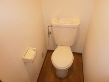 �y�g�C���z�@